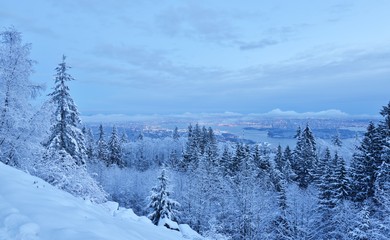 Wall Mural - Lions Gate Bridge and Downtown Vancouver in winter with snow