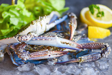 Fresh Crab For Cooked Food At Restaurant Or Seafood Market / Raw Crab On Ice With Spices Lemon And Salad Lettuce On The Dark Plate Background Blue Swimming Crab