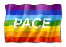 Rainbow Peace / Pace Flag Isolated On White