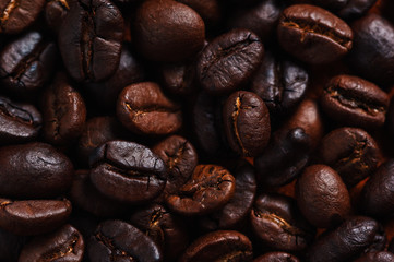 Wall Mural - Close-up view of roasted coffee beans