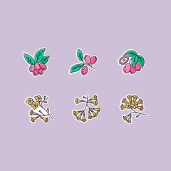 Wall Mural - brazilian flora printable patches. miracle fruit. rgb color stickers, pins and badges set. ipe tree.