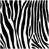 Fototapeta Konie - Zebra print, animal skin, line background, fabric. Black and white artwork, monochrome. Wallpaper with black stripes on white background. Zebra stripes hunting camouflage. Vector illustration.