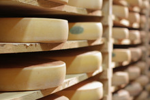 At Professional French Cheese Maker - Comté Cellar On Traditional Wood