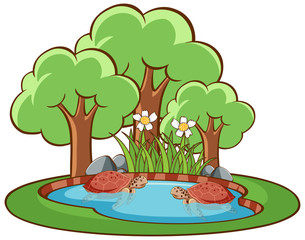 Poster - Isolated picture of turtles in the small pond