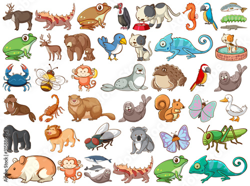 Photo Large set of wildlife with many types of animals land and sea