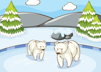 Poster - Scene with polar bears in winter