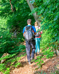 Wall Mural - Wandern in frühlingshaften Wald 