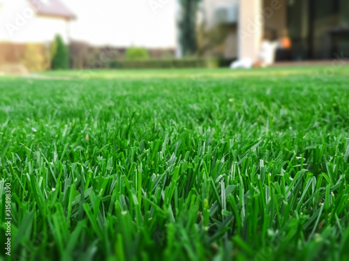 Fotografía Spring season sunny lawn mowing in the garden