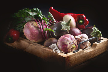 Canvas Print - Fresh harvested vegetables.