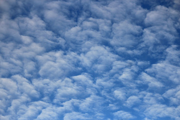 Wall Mural - unusual picturesque clouds in the blue sky