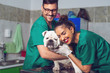 © zorandim75 - Two veterinary doctors with dog during the examination in veterinary clinic