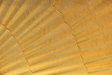 Wall Mural - Golden Wavy Fabric For Luxury Background For Text About Fashion And Luxury. Abstract Geometric Gold Background With Curve Line And Wave Pattern.