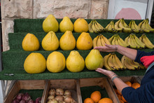 Big Etrog Citrus Fruit In Israel