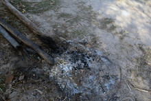 Old  Bonfire With Black Ashes And Charcoal On Earth Ground