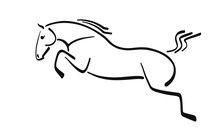 Line Image Of A Jumping Horse
