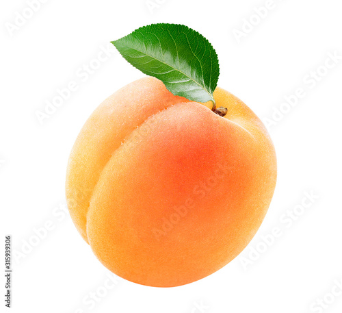 Cuadros en Lienzo Single fresh apricot with a green leaf isolated on white background
