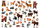 Fototapeta Fototapety na ścianę do pokoju dziecięcego - Big cartoon forest animals vector set for children. Mega collection of animals in different postures for kids. Isolated on white background