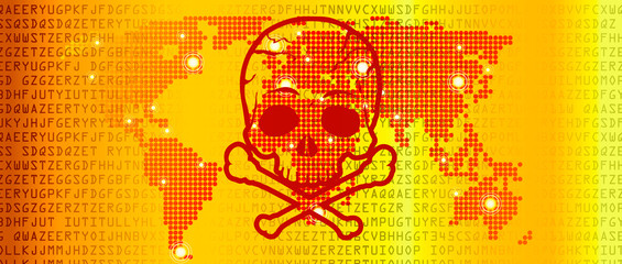 Computer code on a screen with a skull