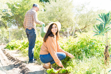 Wall Mural - Happy Woman Working With Man In Farmland