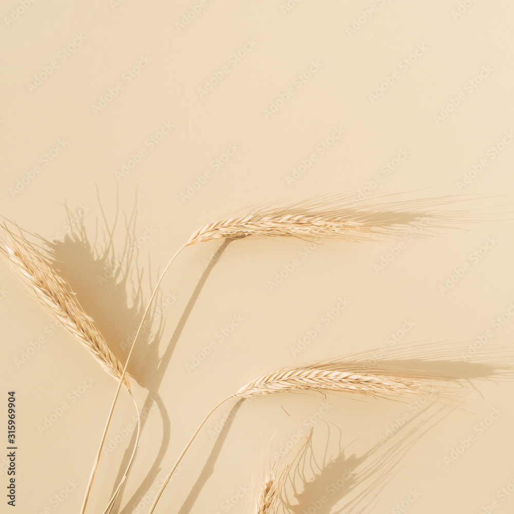 Ears of rye, wheat on pastel beige background. Flat lay, top view minimal organic healthy raw food concept. - obrazy, fototapety, plakaty 