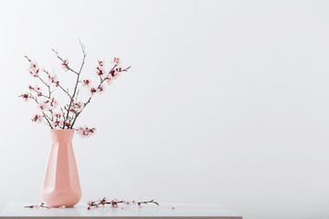 flowering cherry branch in vase on white background