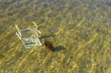 Poster - plastic chair in the sea