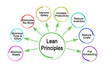 Eight Principles of Lean Methodology
