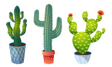 Set Of Three Decorative Cactuses In Pots With Spines And Blooming Flowers. Vector Set Illustration In Flat Cartoon Style