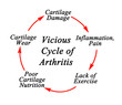 Steps in  Vicious Cycle of Arthritis