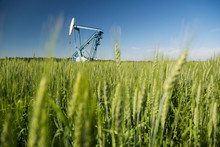 Oil Well In Background Of Green Wheat Field