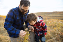 Father And Son Examining Plants In Rural Field