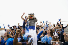Enthusiastic Fan In Blue With Bulldog Mascot Bleachers
