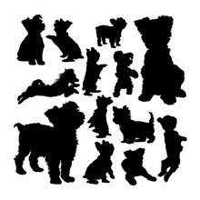 Yorkshire Terrier Dog Animal Silhouettes. Good Use For Symbol, Logo, Web Icon, Mascot, Sign, Or Any Design You Want.