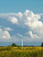 Wind turbine farm at the field with stormy clouds. Wind power for electricity, clean energy. Baltic coast