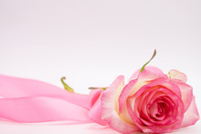 Red Rose And Ribbon On White Background. Valentines Day Background