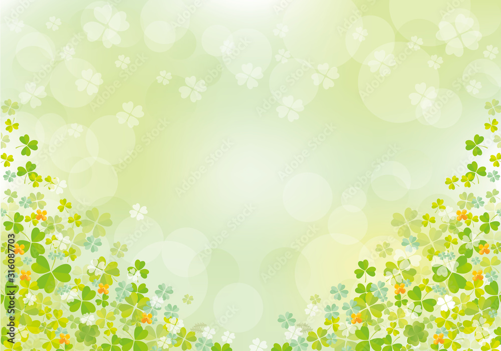 クローバー：春　クローバー　四つ葉　早春　土手　自然　4月　群生　満開　四つ葉のクローバー - obrazy, fototapety, plakaty 