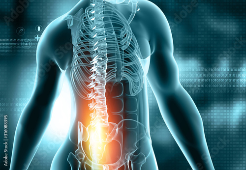 Fotografía Male anatomy, back pain, Athletic Orthopedics on blue scientific background