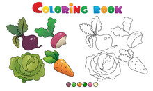 Coloring Page Outline Of Cartoon Vegetables. Cabbage, Carrot, Beet And Radish. Coloring Book For Kids.