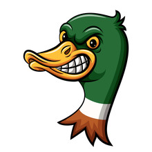 Angry Duck Head Mascot Design