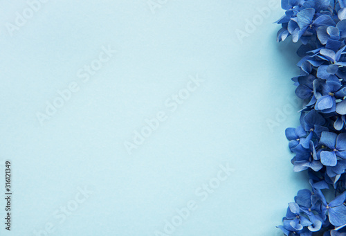 Blue hydrangea flowers Poster Mural XXL