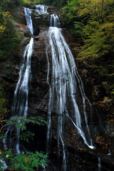 Wall Mural - waterfall in the forest