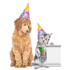 Poster - Dog and cat wearing party hats.  Kitten holds gift box and empty list. isolated on white background