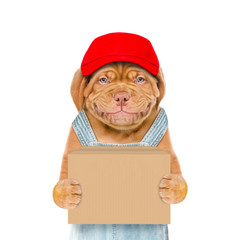 Wall Mural - Smiling puppy wearing a red cap and overalls holds big box. isolated on white background