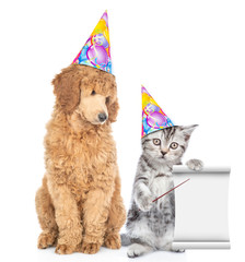 Poster - Dog and cat wearing party hats.  Kitten points on empty list. isolated on white background