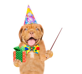Aufkleber - Funny puppy wearing a party cap and tie bow holds gift box and pointing away on empty space. isolated on white background
