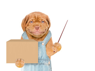 Aufkleber - Smiling puppy wearing blue overalls holds big box and points away on empty space. isolated on white background
