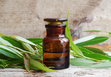 Pharmacy Bottle With Willow Bark Extract (tincture, Infusion). Willow Leaves Close Up. Old Wooden Background. Aromatherapy, Spa And Herbal Medicine Concept. Copy Space.