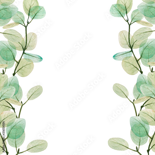 Watercolor eucalyptus leaf  frame. Floristic design elements for floristics. ...