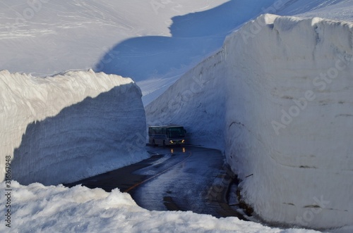 Fotomural Spring scenery in Tateyama alpine, Japan