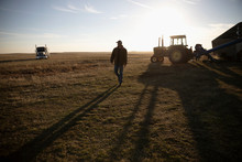 Silhouette Male Farmer Walking In Sunny Field